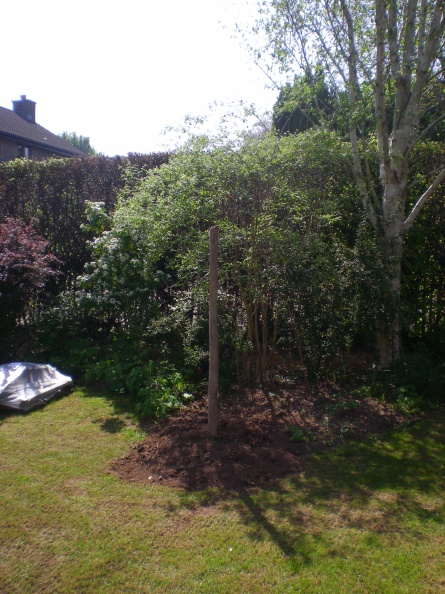 DSCN5782.JPG