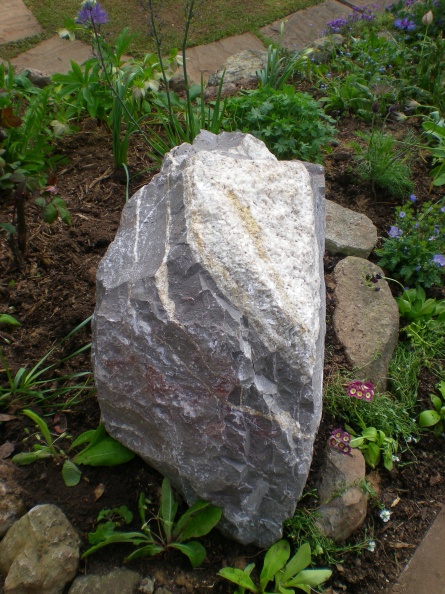 DSCN5800.JPG