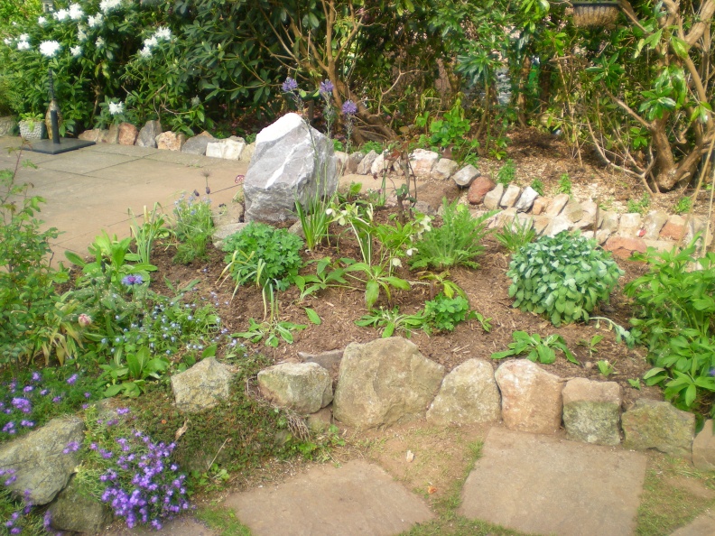 DSCN5804.JPG