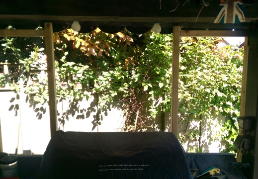 IMAG2469