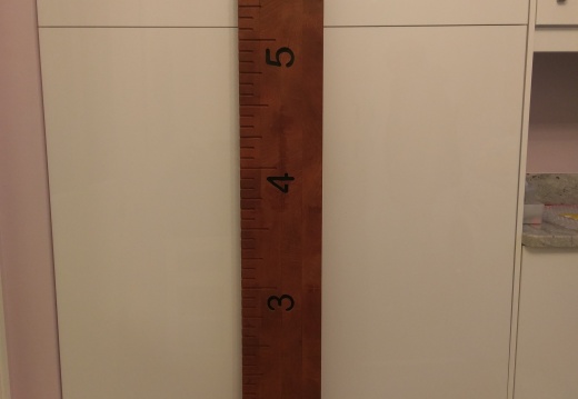IMAG2241