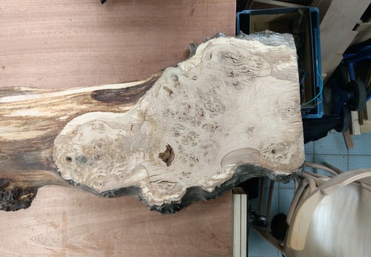 IMAG0521b